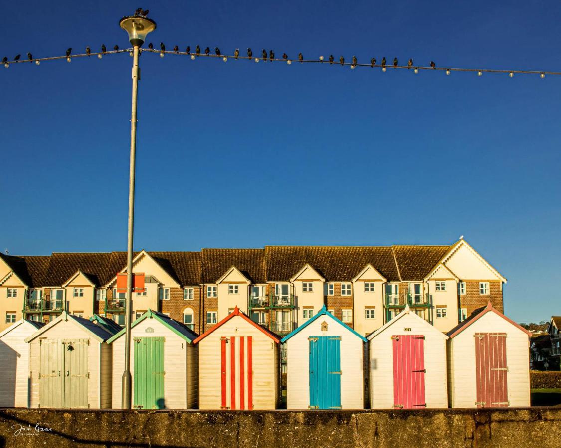 Stylish Studio In The Heart Of The English Riviera トーキー エクステリア 写真